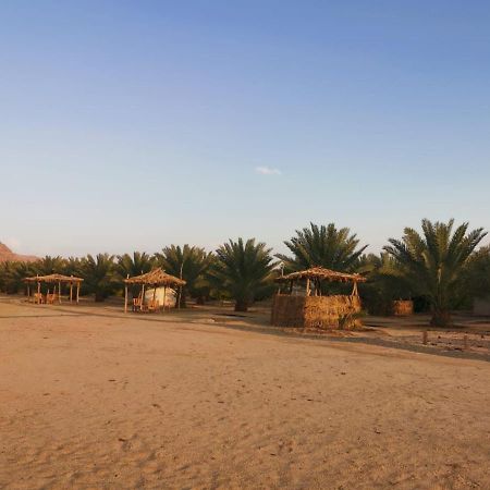 Almazham Camp Resort Al-'Ula Exteriör bild