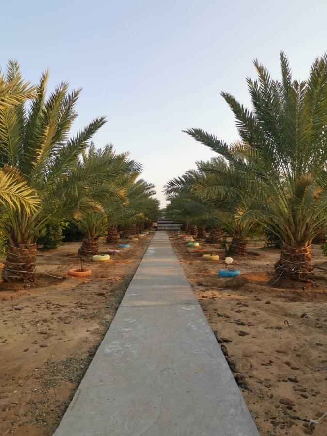 Almazham Camp Resort Al-'Ula Exteriör bild