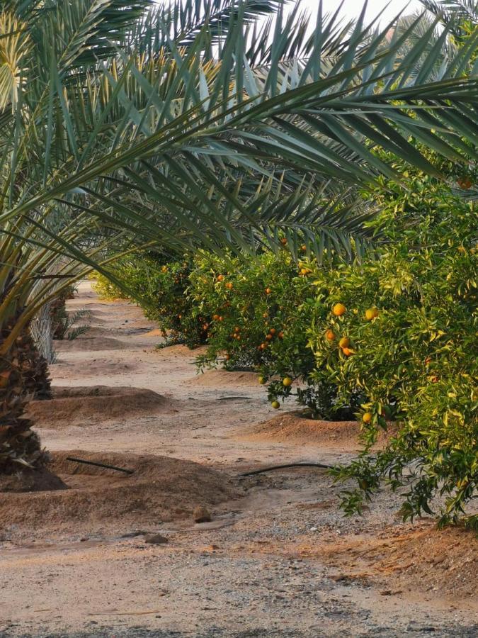 Almazham Camp Resort Al-'Ula Exteriör bild