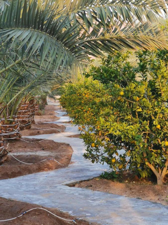 Almazham Camp Resort Al-'Ula Exteriör bild